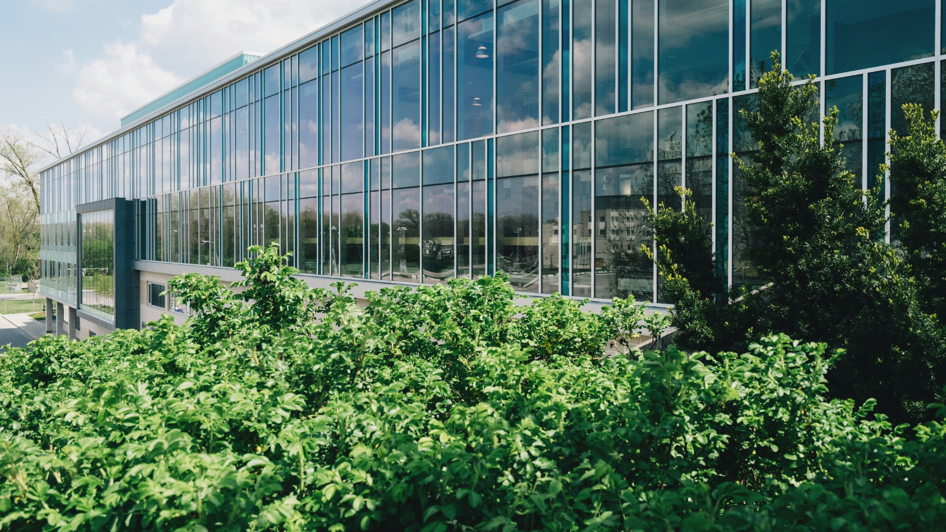 Green Scape Developments commercial property visual